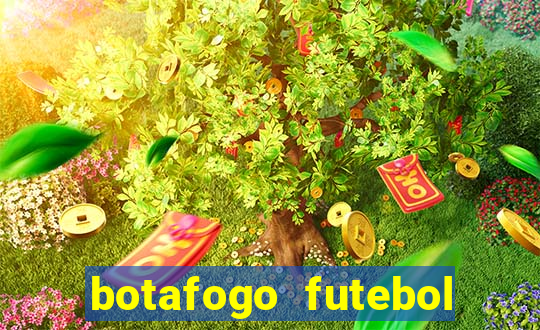 botafogo futebol play hd